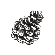 Logotip a negre rodó de Gemma Miró.